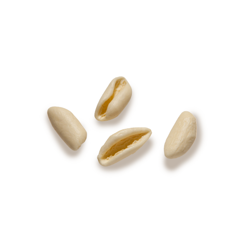 Cavatelli