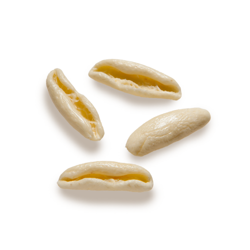 p-capuntini