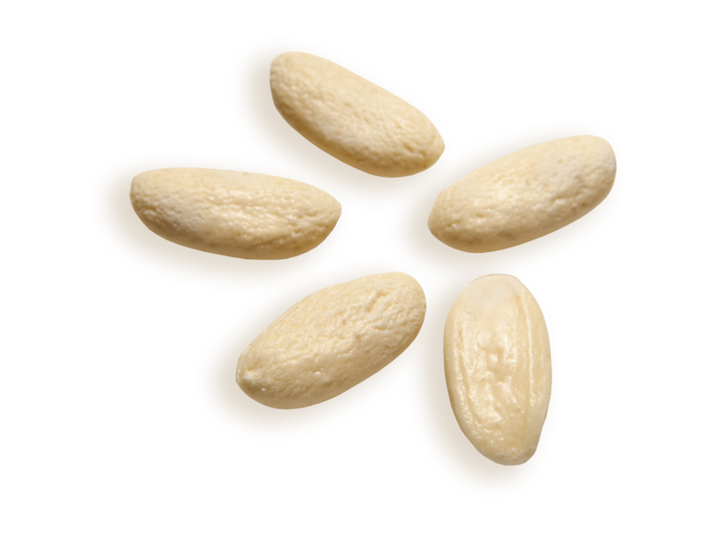 Fagioli