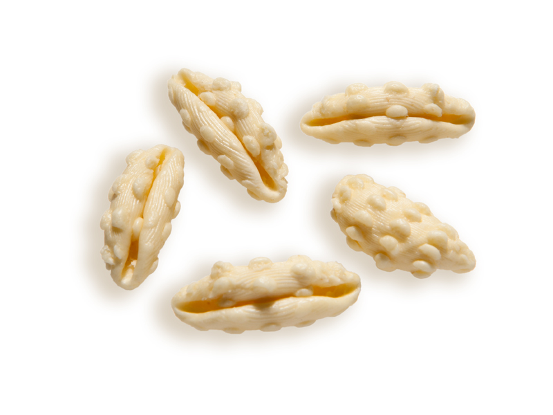 Gelsi