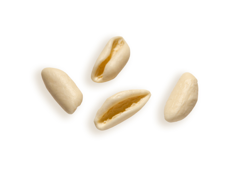 Cavatelli